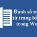 Đánh số trang trong bản word nghĩa là gì