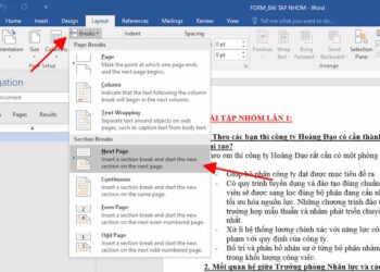 Cách đánh số trang trong Word trên Macbook