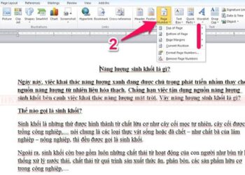 cách đánh số trang word 2019