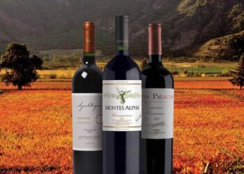 Vang Chile nổi tiếng với nhiều dòng mang hương vị đặc trưng